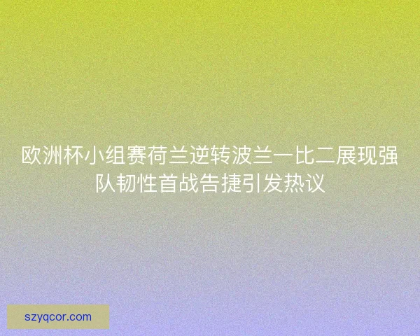 欧洲杯小组赛荷兰逆转波兰一比二展现强队韧性首战告捷引发热议